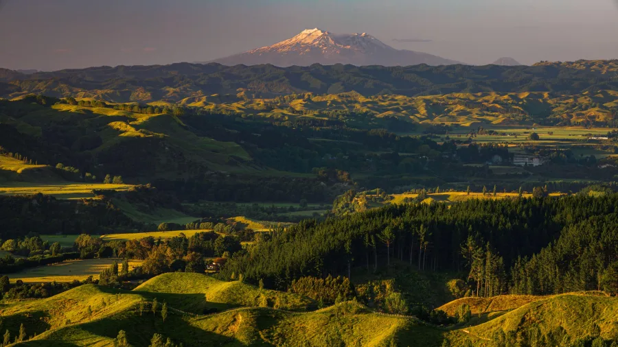 View of Mt Ruapehu from Stormy Point Lookout near Palmerston North