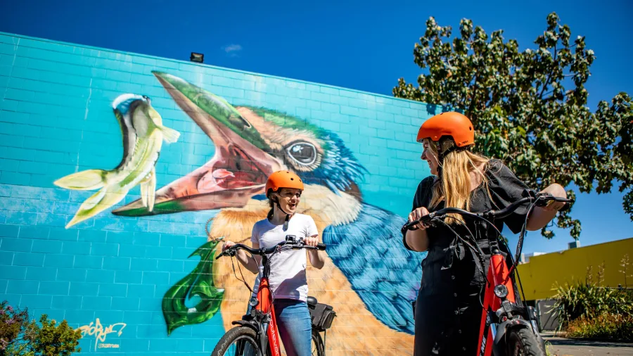 Sacred Kingfisher Street Art Mural by Koryu88 in Palmerston North