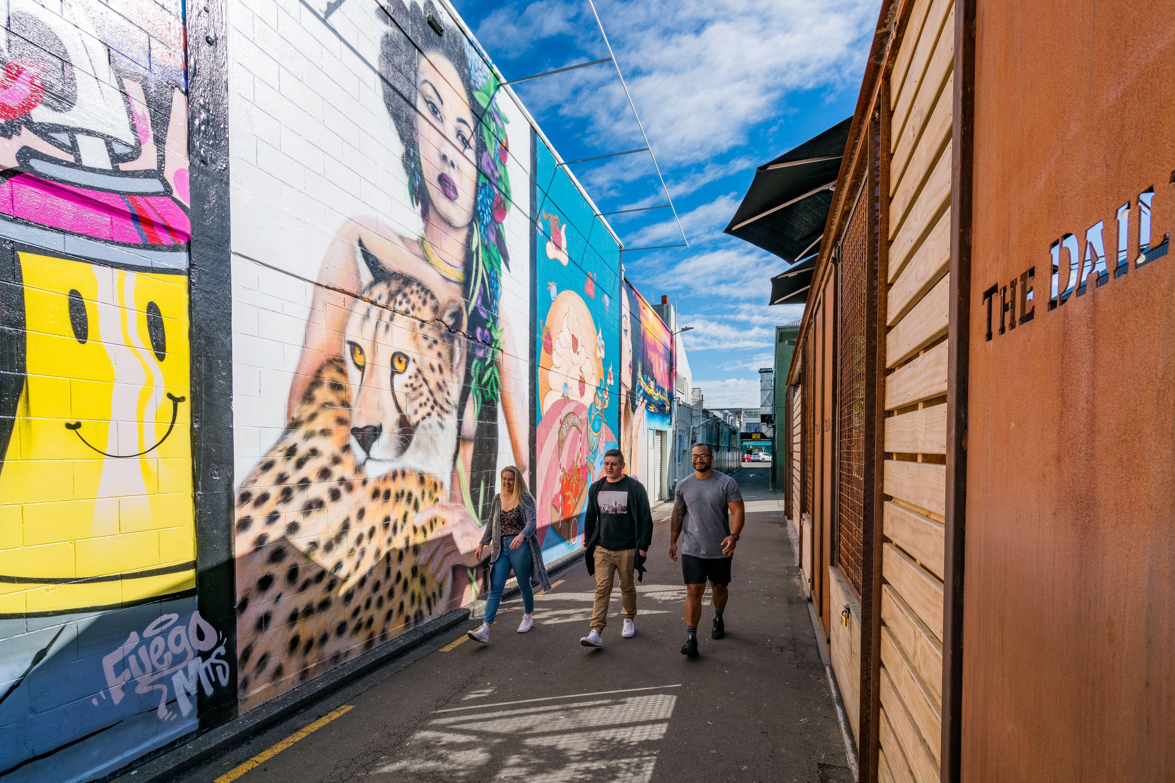Street Art in Berrymans Lane, Palmerston North: Credit ManawatuNZ.co.nz