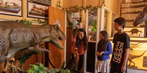 Family looking at a large dinosaur model at Dinosaur House in Raetihi