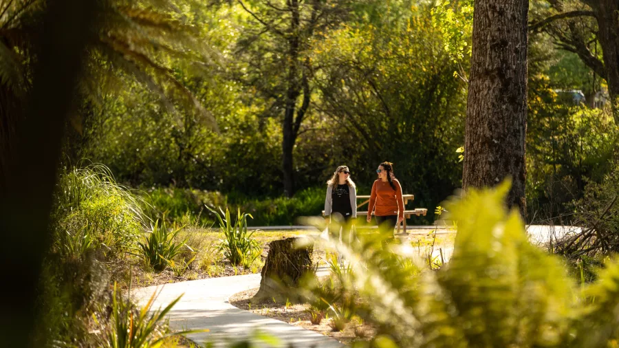 Two women walking a forest trail along the Makotuku River Walk near Raetihi