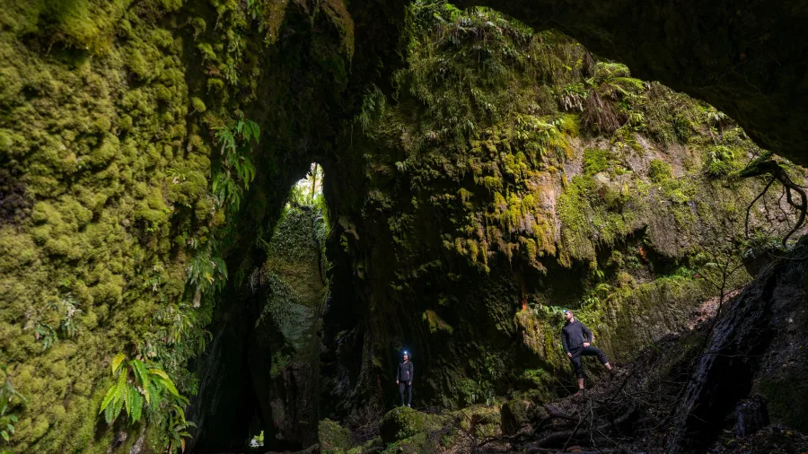 Hikers exploring mossy cave at Limestone Creek Reserve