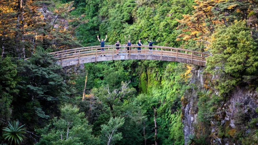 Hikers on suspension bridge along Rangiwahia Hut Track