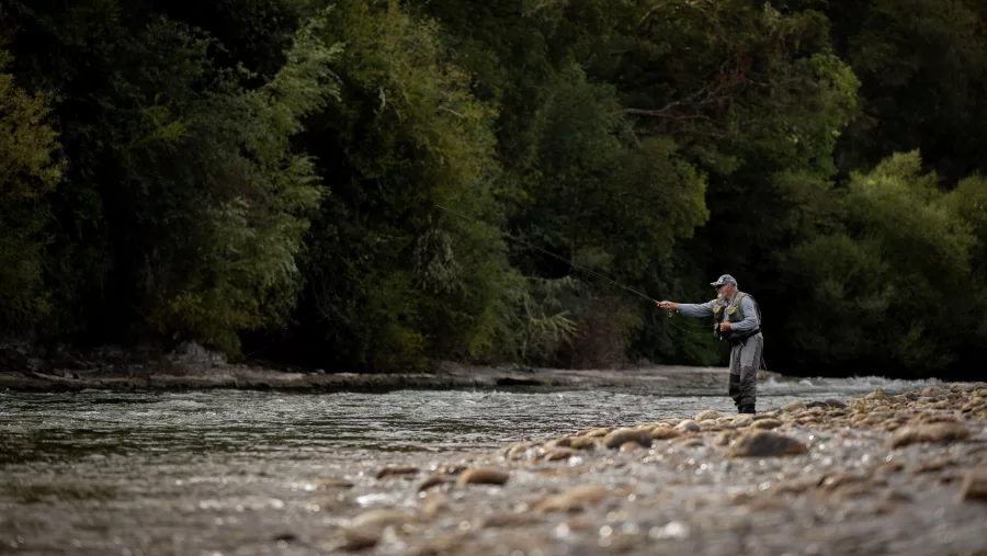 Angler fly fishing along the banks of the Whanganui River near Taumarunui