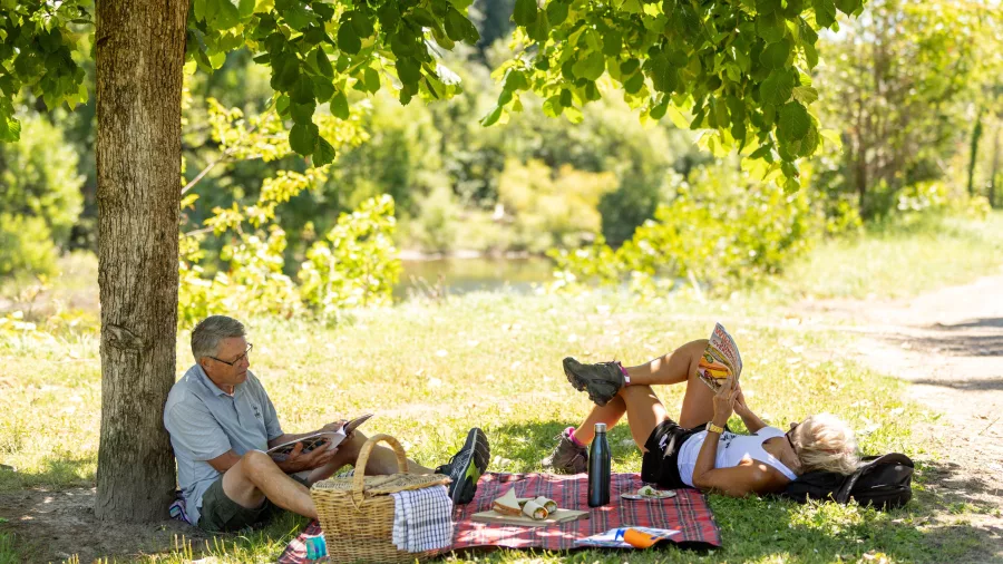 Couple relaxing on a picnic blanket under a shady tree in Taumarunui