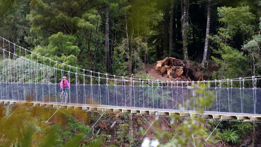 Cyclist crossing the Maramataha Suspension Bridge on the Timber Trail