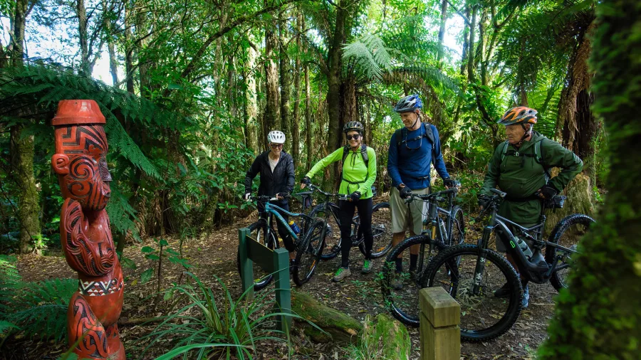 Group of mountain bikers pausing beside a carved pou on the Timber Trail, Pureora Forest