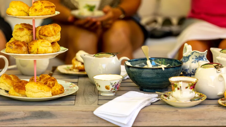 Freshly baked scones and tea served at Bradley’s Garden high tea experience