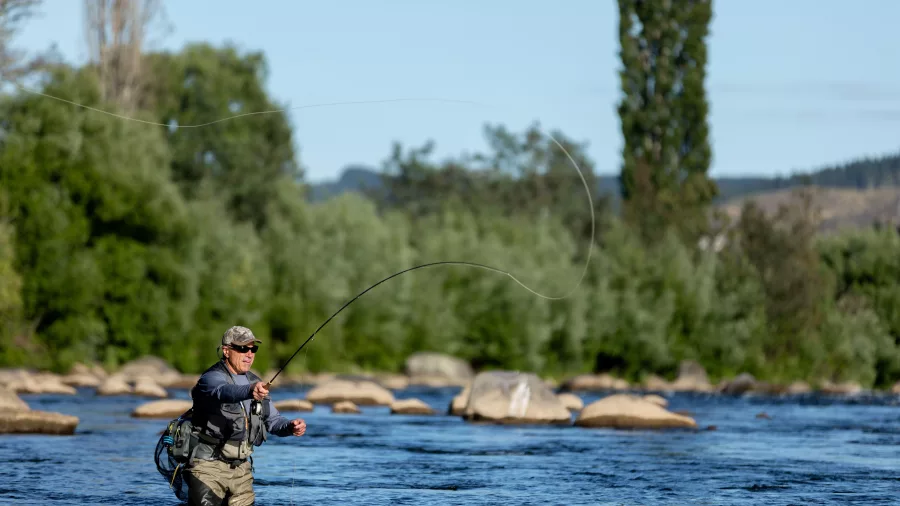 Fly fisher standing in the Whanganui River near Taumarunui casting into the current