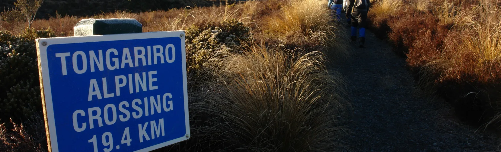 Tongariro Alpine Crossing trailhead sign in winter