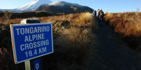 Tongariro Alpine Crossing trailhead sign in winter