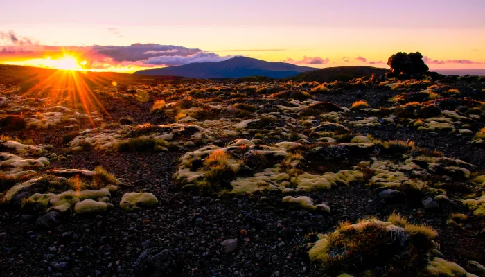 Scoria Flat on the Tongariro Alpine Crossing at sunrise