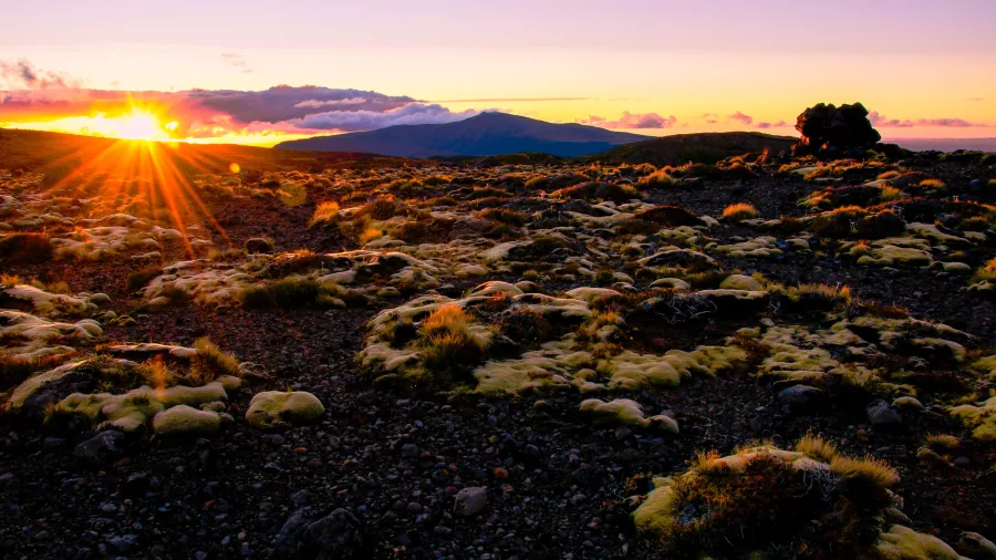 Scoria Flat on the Tongariro Alpine Crossing at sunrise