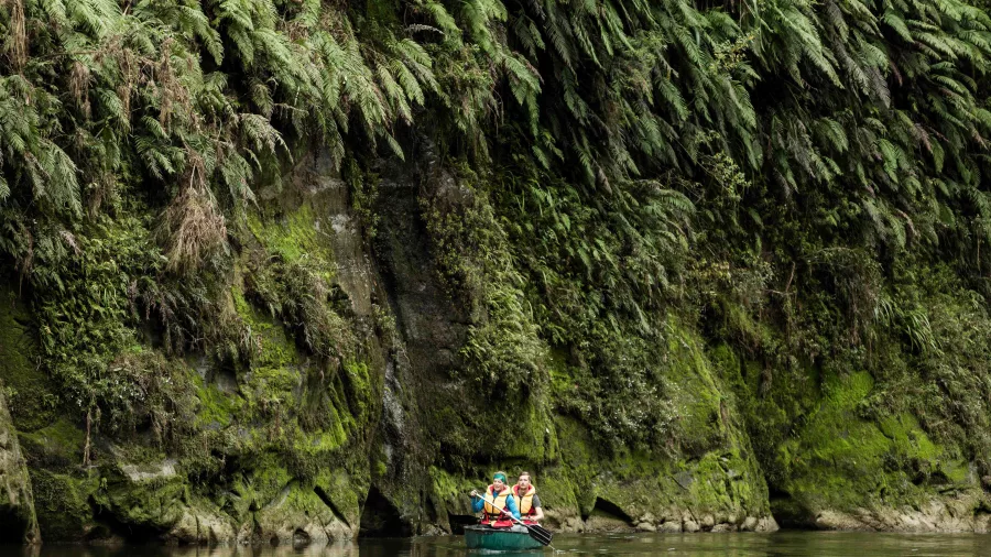 Canoe with people paddling below fern-covered cliffs on the Whanganui River