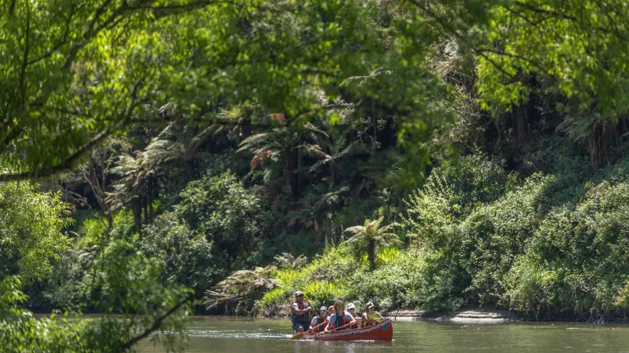 Group canoeing through native forest along the Whanganui River