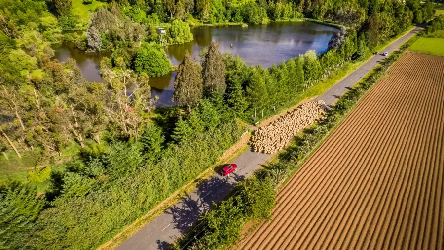 Flock of sheep causes rural traffic jam on Manawatū road
