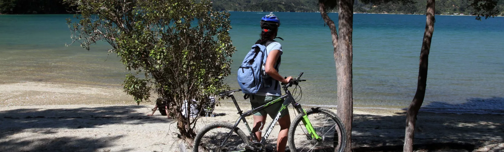 Cyclist pausing with bike beside the beach in the Marlborough Sounds