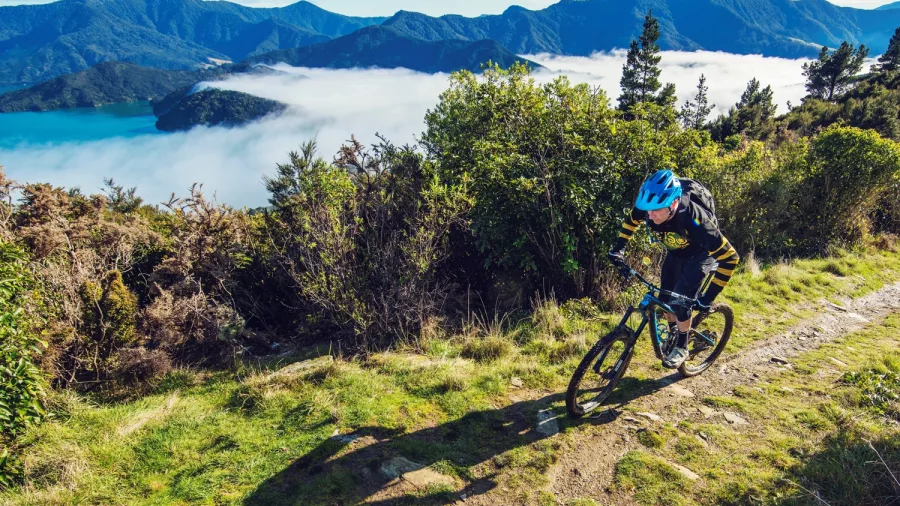 Cyclist climbing a misty ridgeline trail above the Marlborough Sounds