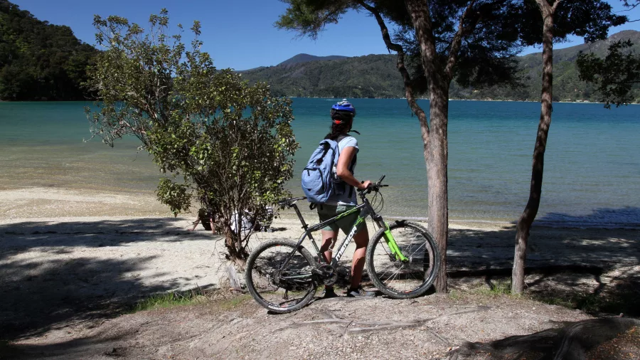 Cyclist pausing with bike beside the beach in the Marlborough Sounds