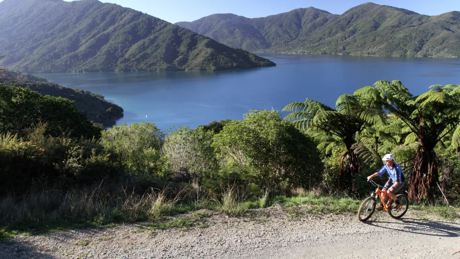 Cyclist on gravel road with scenic views across the Marlborough Sounds