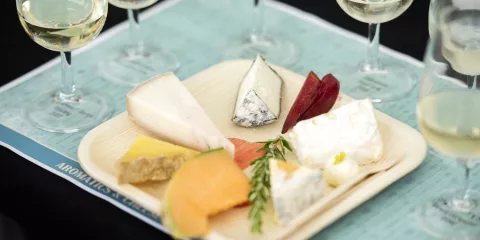 Wine and cheese tasting at Marlborough Wine & Food Festival in Blenheim, New Zealand