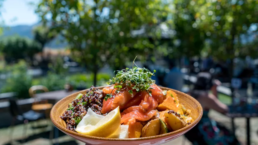 Fresh salmon salad at The Vines Village in Rapaura, Marlborough