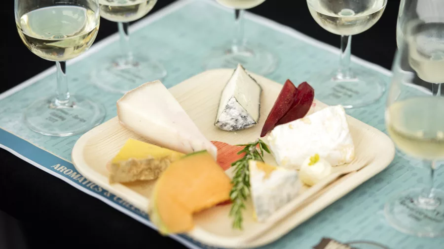 Wine and cheese tasting at Marlborough Wine & Food Festival in Blenheim, New Zealand