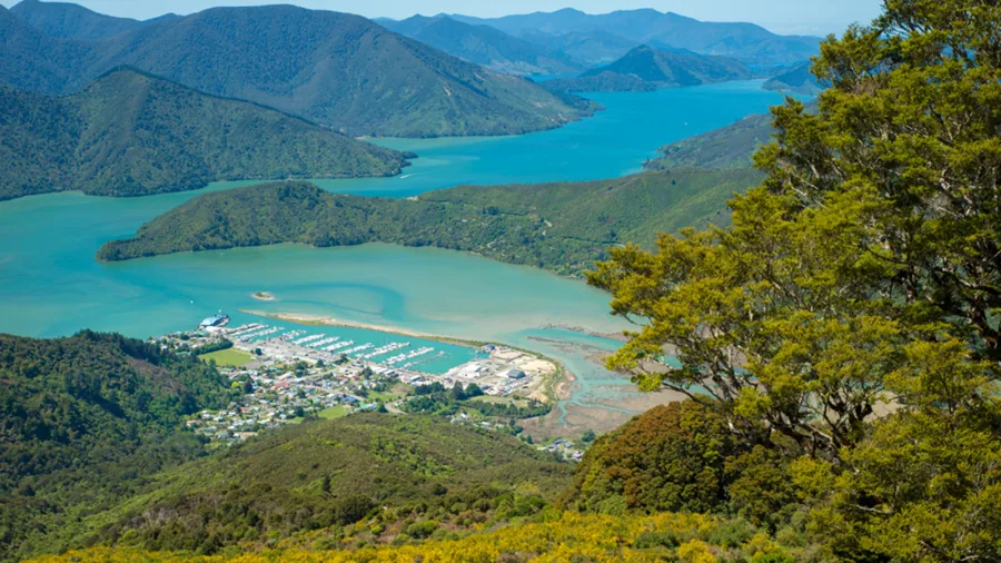 Scenic view of Havelock township and Marlborough Sounds from surrounding hills
