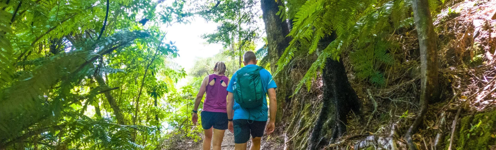 Couple hiking a shaded bush trail on the Queen Charlotte Track near Picton, Marlborough Sounds
