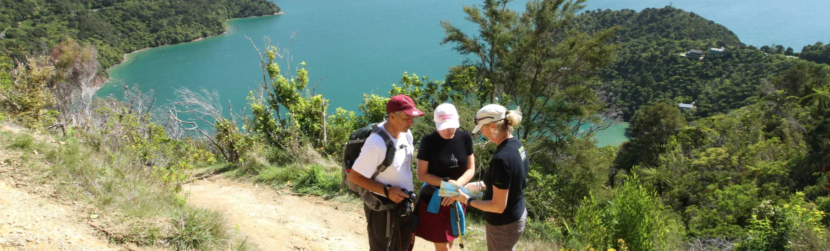 Hikers taking in the view over Endeavour Inlet on the Queen Charlotte Track