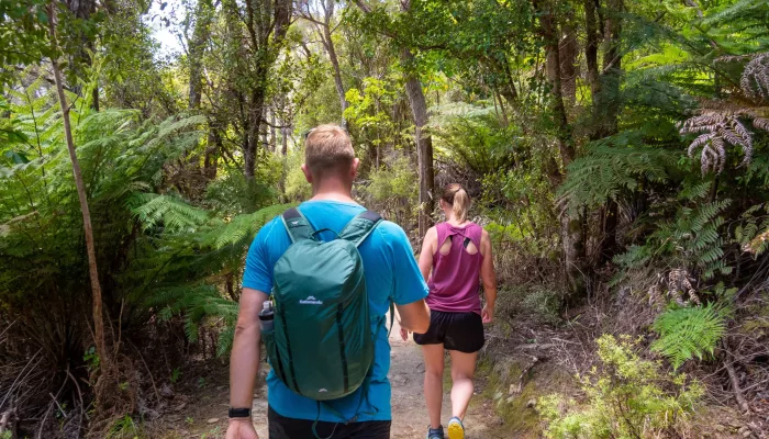 Hikers walking through native bush on the Queen Charlotte Track