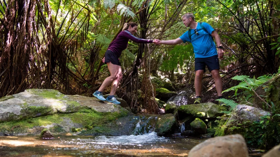 Couple helping each other across a stream in native bush on the Queen Charlotte Track