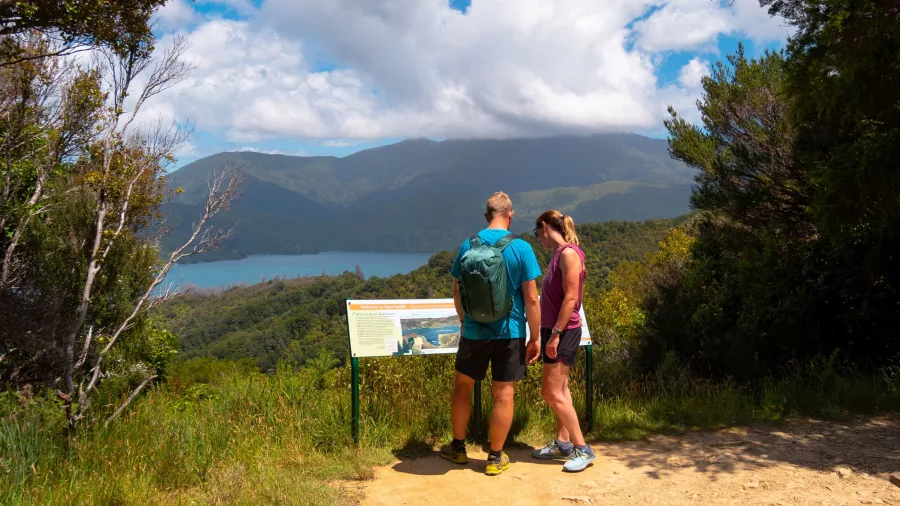 Couple reading an information panel overlooking Kenepuru Sound on Queen Charlotte Track