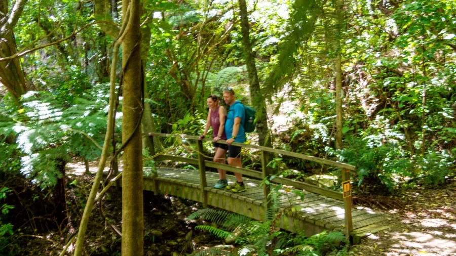 Couple standing on a wooden bridge surrounded by lush forest on the Queen Charlotte Track
