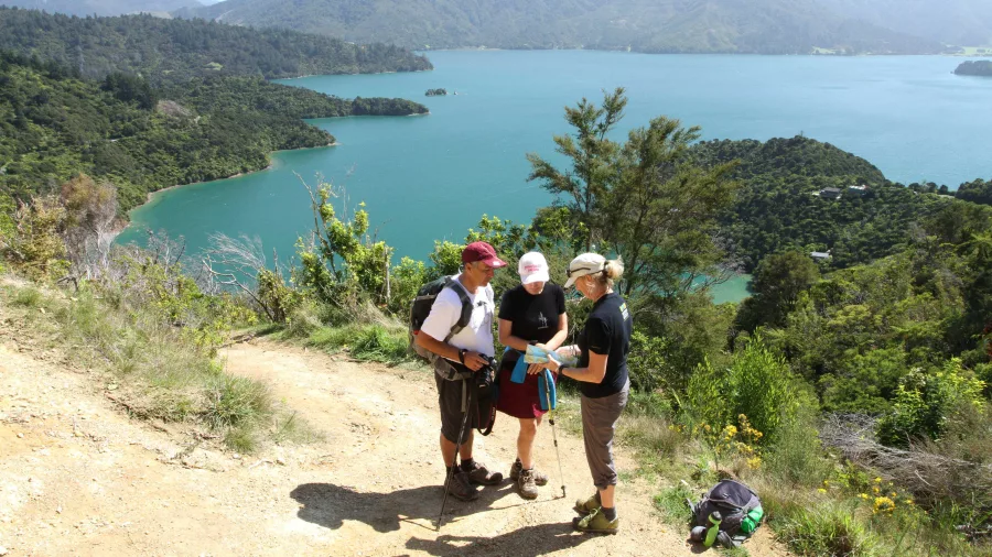 Hikers taking in the view over Endeavour Inlet on the Queen Charlotte Track