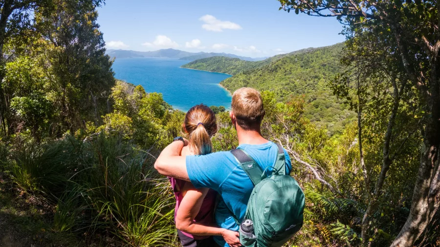 Couple admiring the view from a forested lookout point on the Queen Charlotte Track, Marlborough Sounds