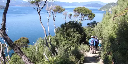 Group hiking along a coastal trail with sweeping sea views on the Queen Charlotte Track