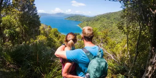 Couple admiring the view from a forested lookout point on the Queen Charlotte Track, Marlborough Sounds