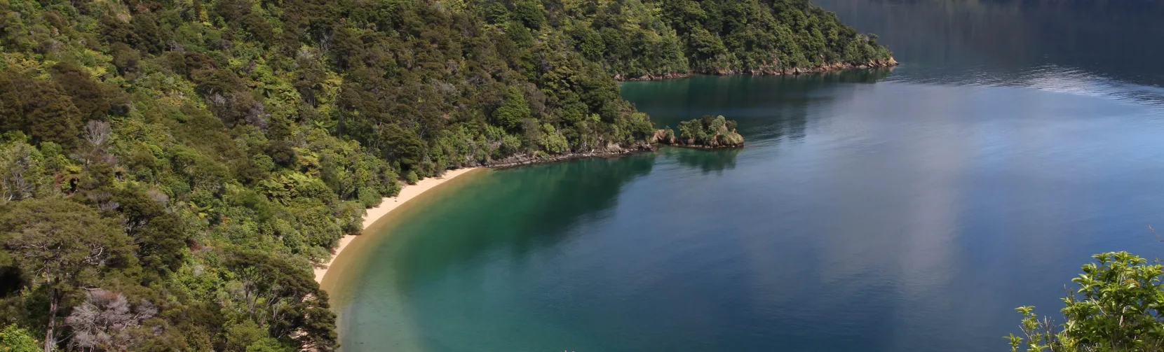 Aerial view of kayakers in a sheltered bay along the Queen Charlotte Track in Marlborough