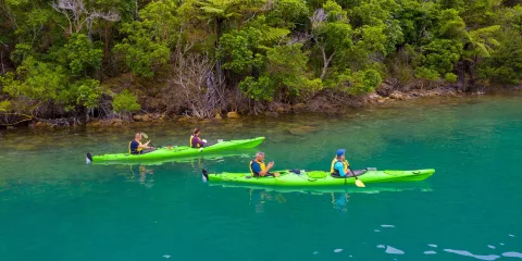 Two tandem kayaks paddling close to a forested shoreline in the Marlborough Sounds