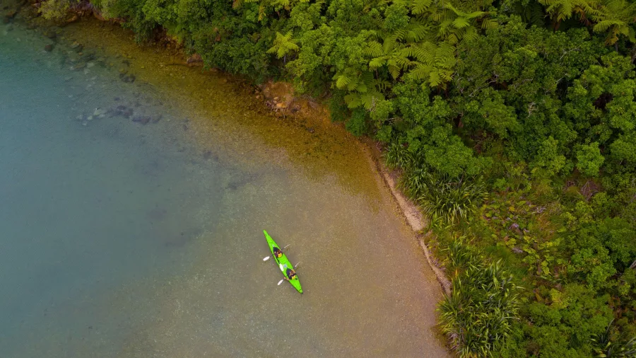 A single green kayak rests on a secluded shoreline in Queen Charlotte Sound