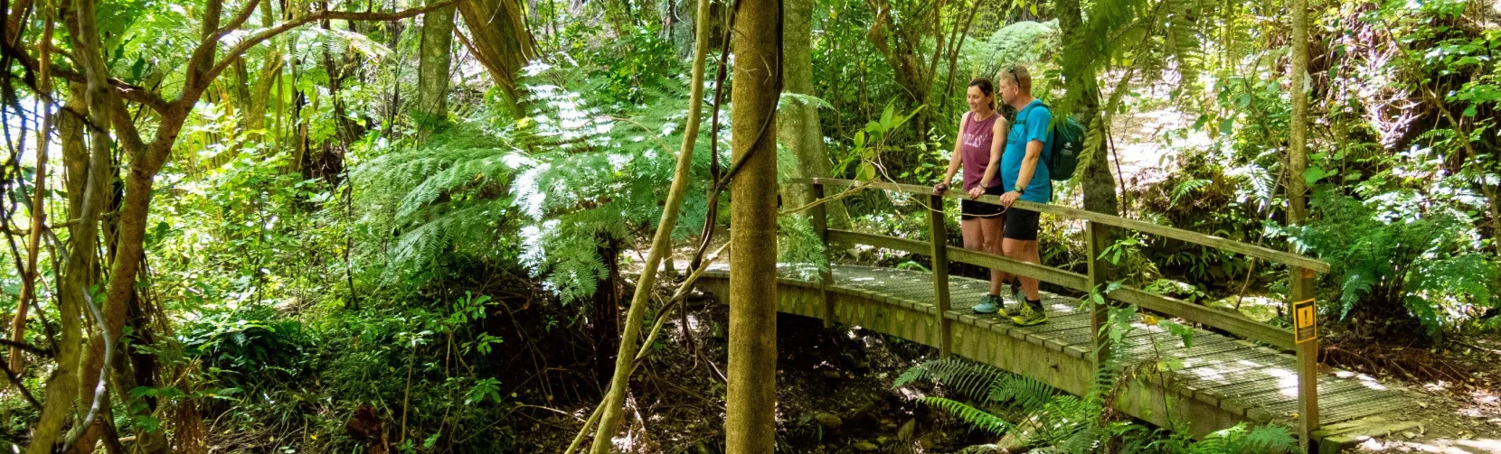 Couple standing on a footbridge in native forest near Furneaux Lodge