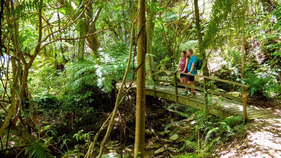 Couple standing on a footbridge in native forest near Furneaux Lodge