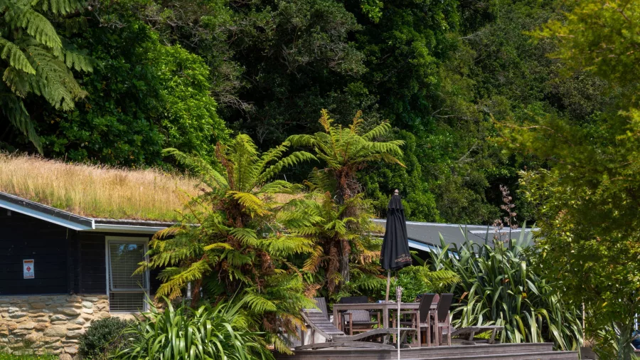 Secluded bushside cabin with private deck at Furneaux Lodge, Marlborough Sounds