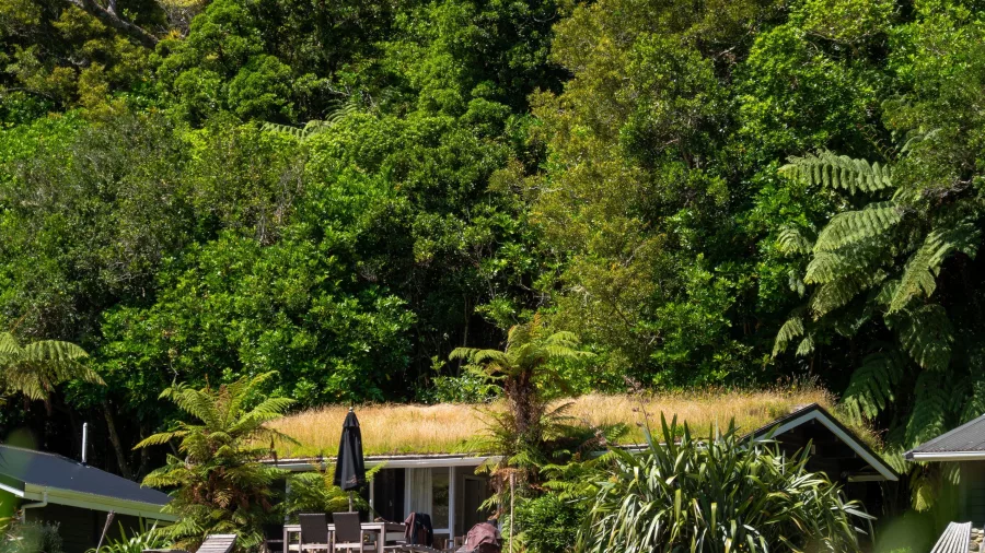 Eco-style cabin with grass roof nestled in the native forest at Furneaux Lodge