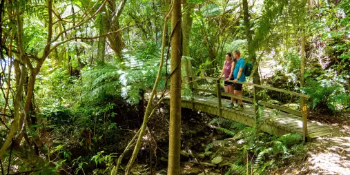 Couple standing on a footbridge in native forest near Furneaux Lodge
