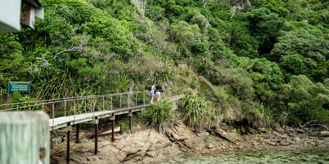 Visitors on the jetty walkway arriving at Motuara Island, surrounded by native bush.