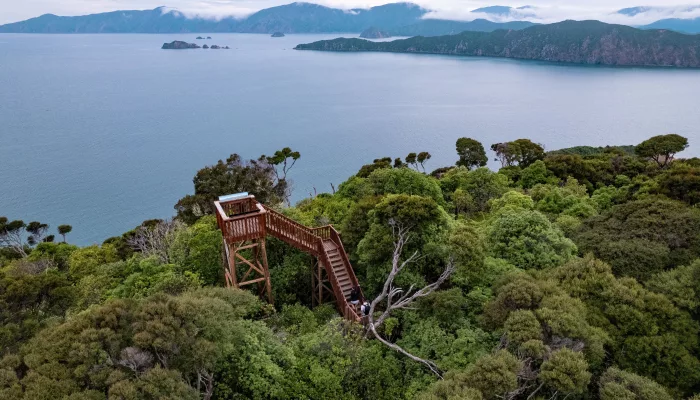 The Motuara Island lookout tower surrounded by dense bush, with Queen Charlotte Sound in the background.