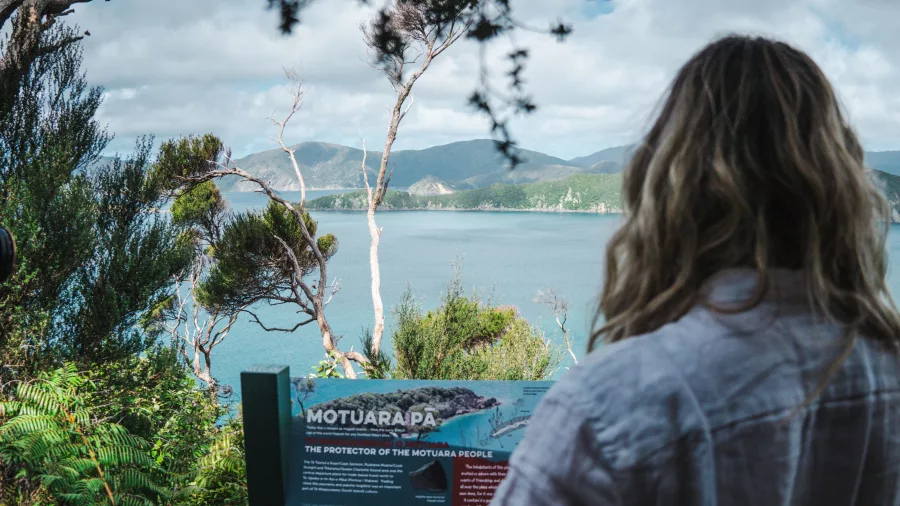Visitor reading an informational sign on Motuara Island with views over the Marlborough Sounds.