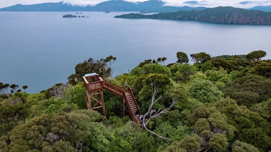 The Motuara Island lookout tower surrounded by dense bush, with Queen Charlotte Sound in the background.